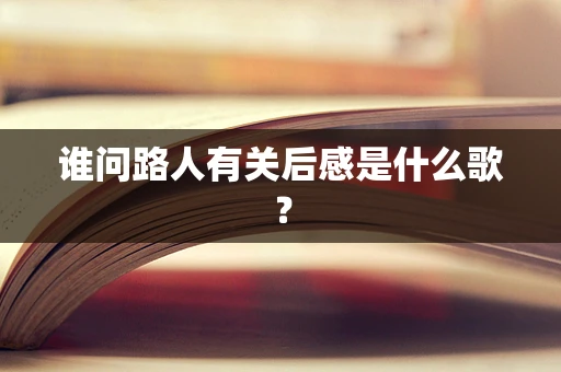 谁问路人有关后感是什么歌？