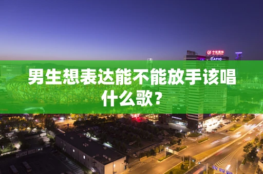 男生想表达能不能放手该唱什么歌？