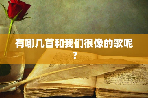 有哪几首和我们很像的歌呢？