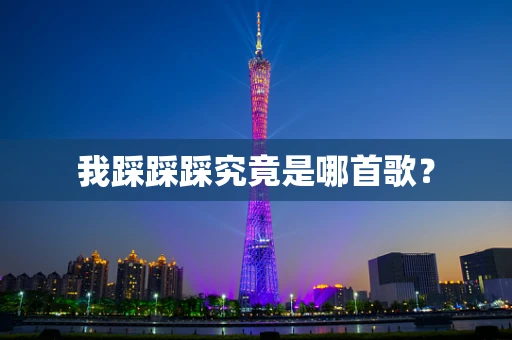我踩踩踩究竟是哪首歌？