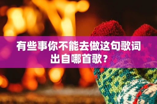 有些事你不能去做这句歌词出自哪首歌？