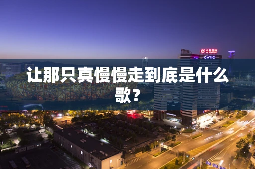 让那只真慢慢走到底是什么歌？