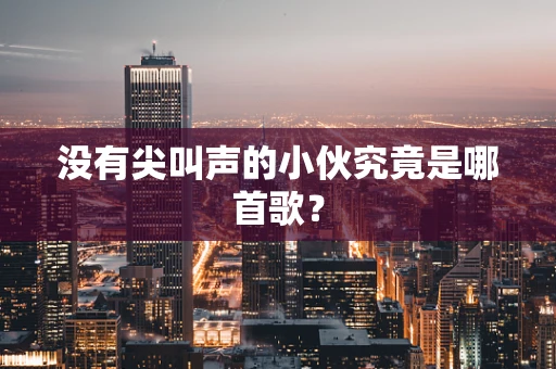 没有尖叫声的小伙究竟是哪首歌？