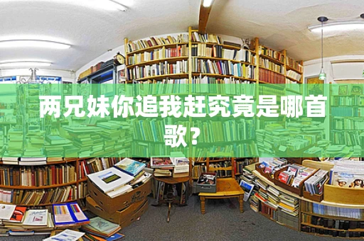 两兄妹你追我赶究竟是哪首歌？