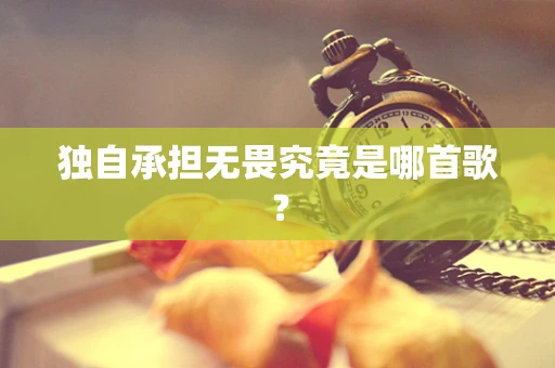 独自承担无畏究竟是哪首歌？