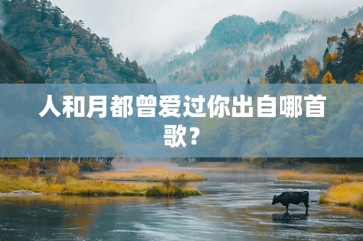 人和月都曾爱过你出自哪首歌？