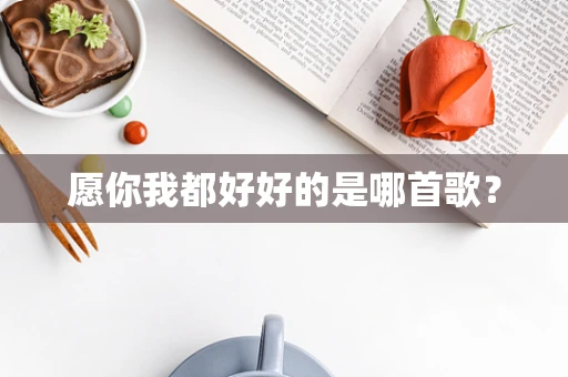 愿你我都好好的是哪首歌？