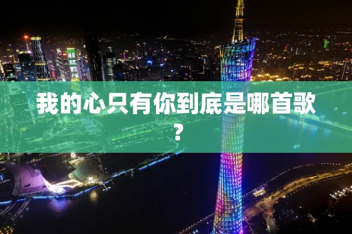 我的心只有你到底是哪首歌？