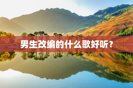 男生改编的什么歌好听？