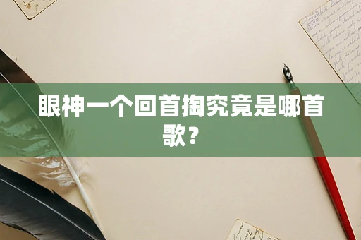 眼神一个回首掏究竟是哪首歌？