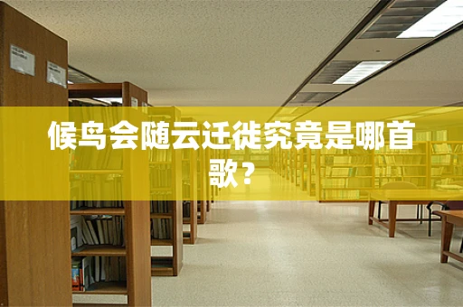 候鸟会随云迁徙究竟是哪首歌？