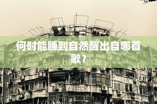 何时能睡到自然醒出自哪首歌？