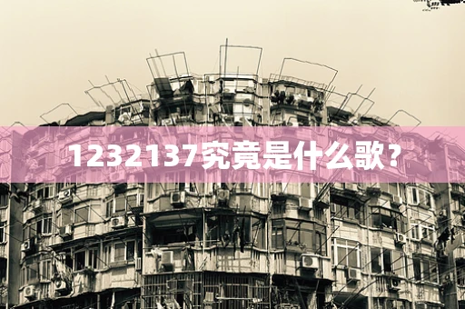 1232137究竟是什么歌？
