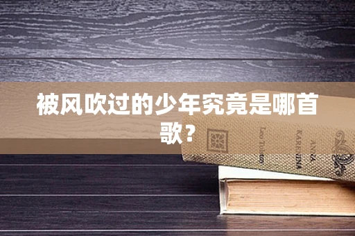 被风吹过的少年究竟是哪首歌？