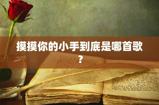 摸摸你的小手到底是哪首歌？