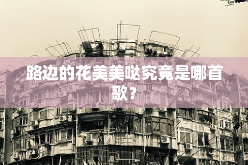 路边的花美美哒究竟是哪首歌？