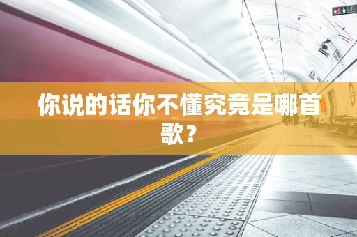 你说的话你不懂究竟是哪首歌？