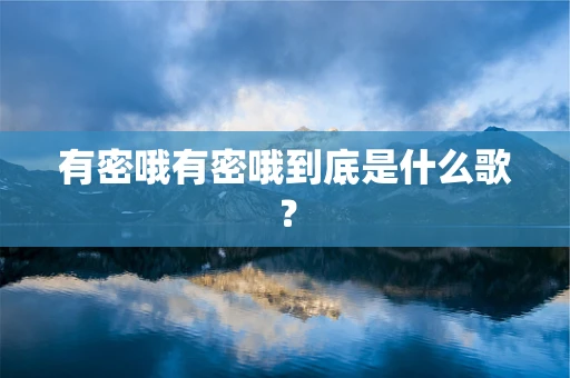 有密哦有密哦到底是什么歌？