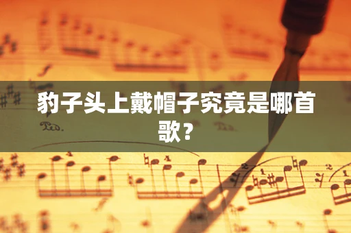 豹子头上戴帽子究竟是哪首歌？