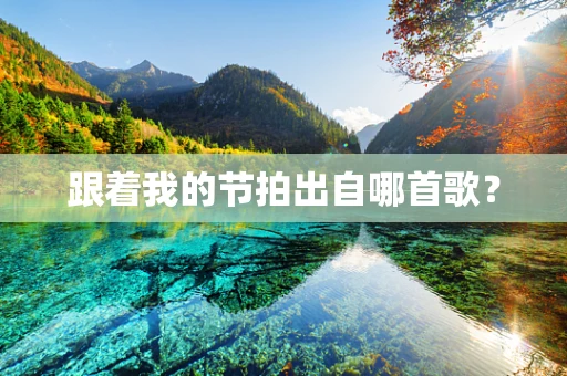跟着我的节拍出自哪首歌？