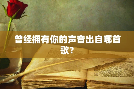 曾经拥有你的声音出自哪首歌？