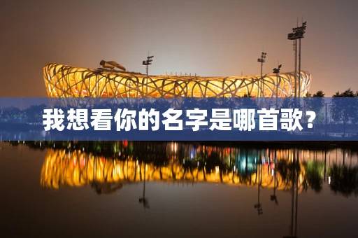 我想看你的名字是哪首歌？