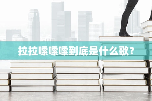 拉拉嗦嗦嗦到底是什么歌？