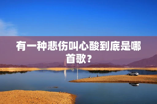 有一种悲伤叫心酸到底是哪首歌？