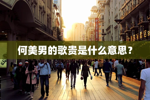 何美男的歌贵是什么意思？