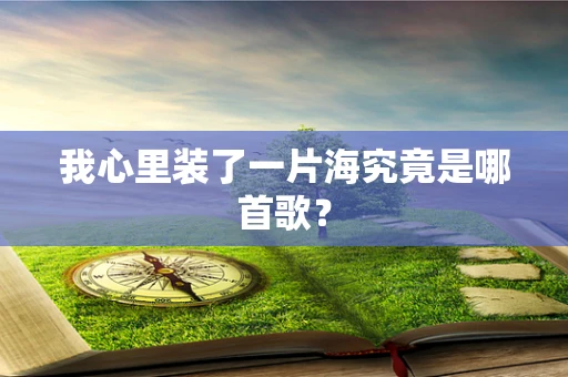 我心里装了一片海究竟是哪首歌？
