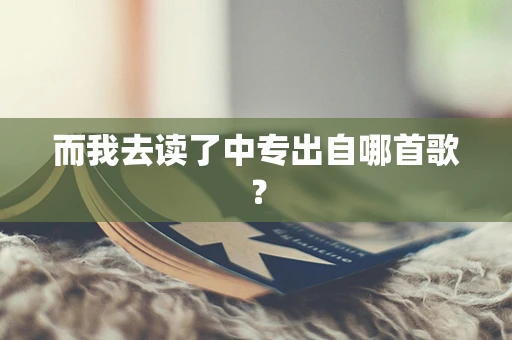 而我去读了中专出自哪首歌？