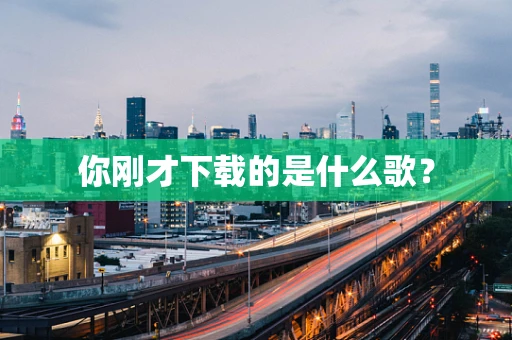 你刚才下载的是什么歌？
