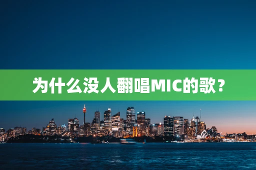 为什么没人翻唱MIC的歌？