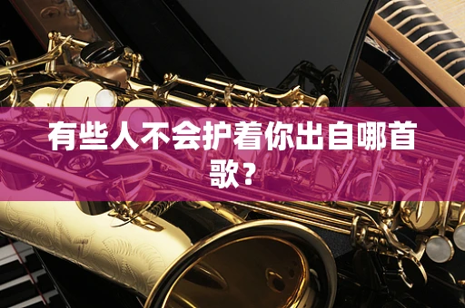 有些人不会护着你出自哪首歌？