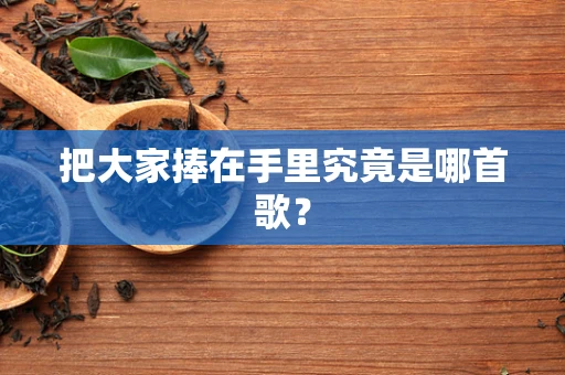 把大家捧在手里究竟是哪首歌？