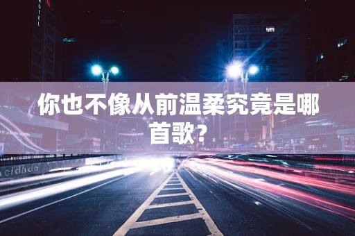 你也不像从前温柔究竟是哪首歌？