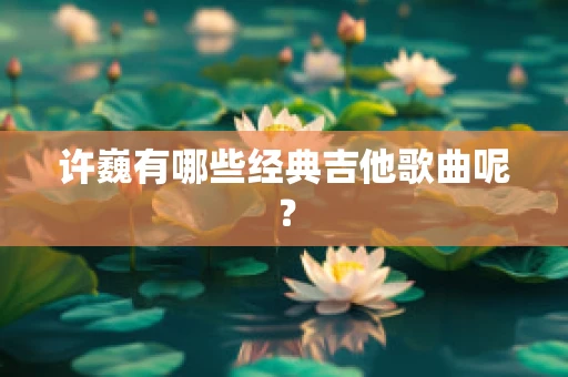许巍有哪些经典吉他歌曲呢？