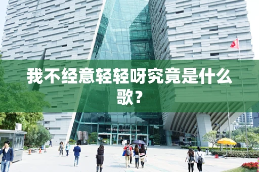 我不经意轻轻呀究竟是什么歌？