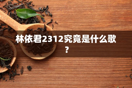林依君2312究竟是什么歌？