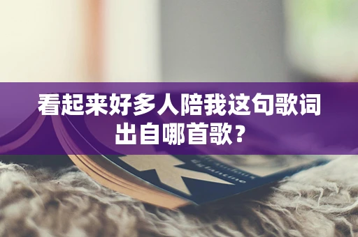 看起来好多人陪我这句歌词出自哪首歌？