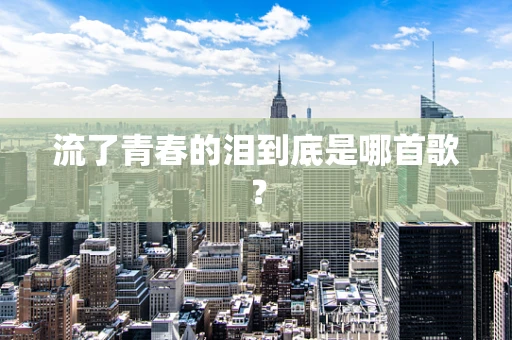 流了青春的泪到底是哪首歌？