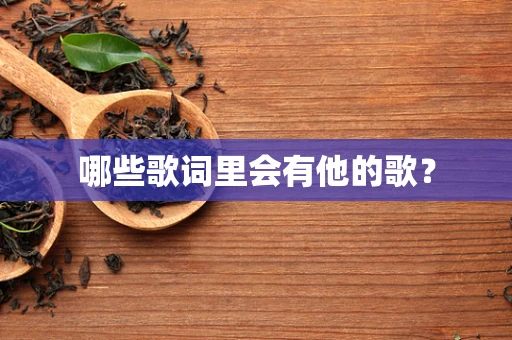 哪些歌词里会有他的歌？