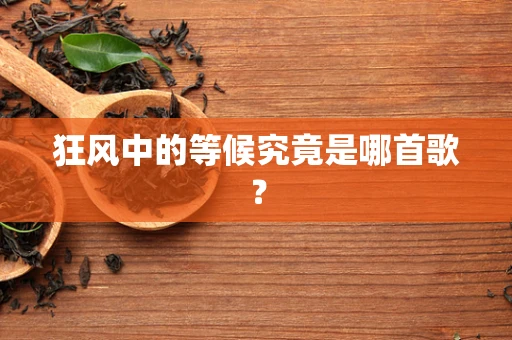 狂风中的等候究竟是哪首歌？