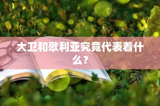 大卫和歌利亚究竟代表着什么？