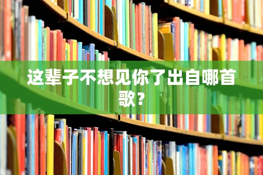 这辈子不想见你了出自哪首歌？