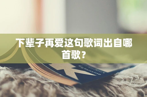 下辈子再爱这句歌词出自哪首歌？