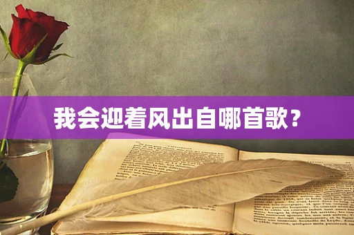 我会迎着风出自哪首歌？