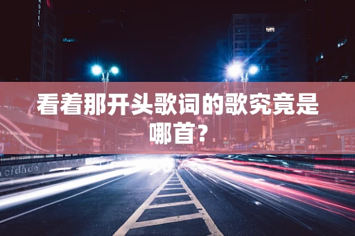 看着那开头歌词的歌究竟是哪首？