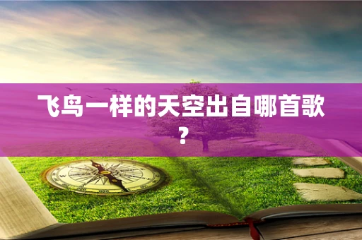 飞鸟一样的天空出自哪首歌？