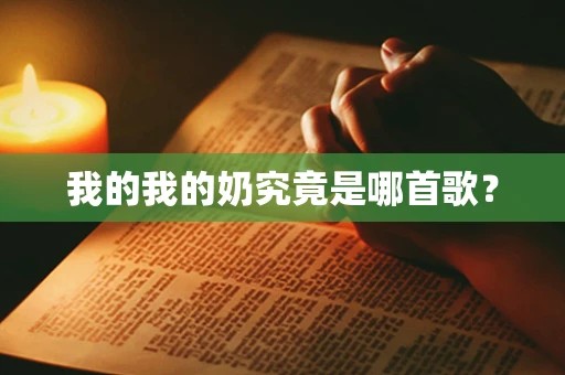 我的我的奶究竟是哪首歌？